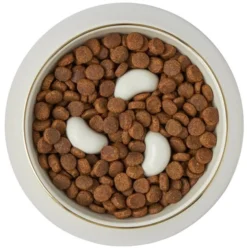 Frisco Melamine Slow Feed Dog & Cat Bowl with Gold Trim, Cream 15 Frisco Melamine Slow Feed Dog & Cat Bowl with Gold Trim, Cream -FRISCO Sales 253067 PT5. SY630 V1615310813