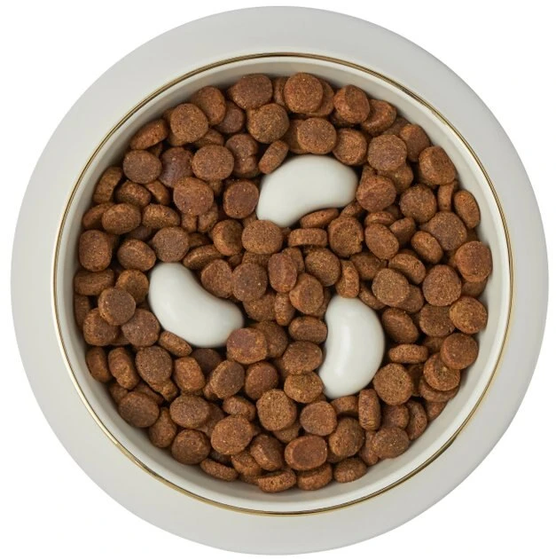 Frisco Melamine Slow Feed Dog & Cat Bowl with Gold Trim, Cream 8 Frisco Melamine Slow Feed Dog & Cat Bowl with Gold Trim, Cream - Image 6