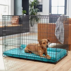 Frisco Corner Bolster Orthopedic Dog Crate Mat -FRISCO Sales 255350 PT5. SY630 V1616121563