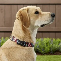 Frisco American Flag Dog Leash & Frisco American Flag Dog Collar 9 Frisco American Flag Dog Leash & Frisco American Flag Dog Collar -FRISCO Sales 255453 PT4. SY630 V1602706576