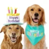 Frisco Birthday Cake Dog & Cat Hat & Frisco Dog & Cat Birthday Bandana 1 Frisco Birthday Cake Dog & Cat Hat & Frisco Dog & Cat Birthday Bandana -FRISCO Sales 255463 MAIN. SY630 V1603716113