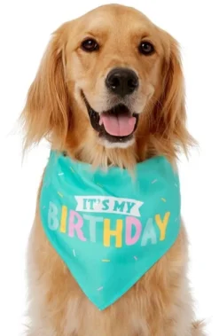 Frisco Birthday Cake Dog & Cat Hat & Frisco Dog & Cat Birthday Bandana -FRISCO Sales 255463 PT3. SY630 V1603716088