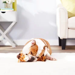 Frisco||True Chews Frisco Bungee Plush Squeaking Giraffe Dog Toy & True Chews Premium Chicken Pot Pie Recipe Dog Treats -FRISCO Sales 255467 PT2. SY630 V1604097410