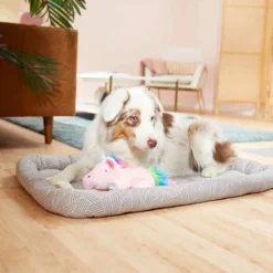 Frisco Fold & Carry Double Door Collapsible Wire Dog Crate, 36 inch & Frisco Gray Basket Weave Dog Crate Mat, 36-in -FRISCO Sales 255481 PT4. SY630 V1604078441