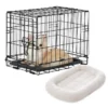 Frisco Fold & Carry Single Door Collapsible Wire Dog Crate & Frisco Quilted Dog Crate Mat, Ivory -FRISCO Sales 255487 MAIN. SY630 V1604075080