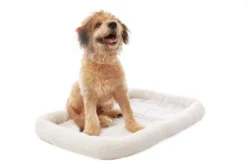 Frisco Fold & Carry Single Door Collapsible Wire Dog Crate, 36 inch & Frisco Quilted Dog Crate Mat, Ivory, 36-in -FRISCO Sales 255495 PT4. SY630 V1603646497