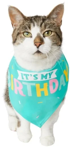 Frisco Happy Birthday Dog & Cat Crown & Frisco Dog & Cat Birthday Bandana, One Size 11 Frisco Happy Birthday Dog & Cat Crown & Frisco Dog & Cat Birthday Bandana, One Size -FRISCO Sales 255521 PT4. SY630 V1603716122