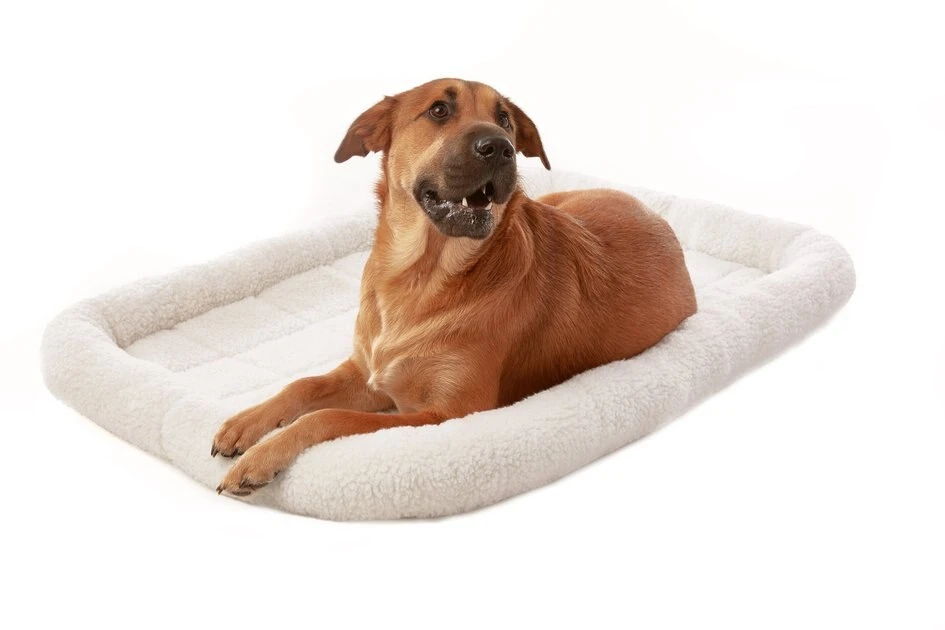 Frisco Heavy Duty Fold & Carry Single Door Collapsible Wire Dog Crate & Frisco Quilted Dog Crate Mat, Ivory 7 Frisco Heavy Duty Fold & Carry Single Door Collapsible Wire Dog Crate & Frisco Quilted Dog Crate Mat, Ivory - Image 5