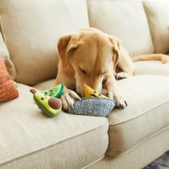 Frisco||True Chews Frisco Hide & Seek Plush Guacamole Dog Toy & True Chews Pork & Chicken Sausage Recipe Dog Treats -FRISCO Sales 255559 PT2. SY630 V1604096813