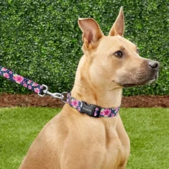 Frisco Midnight Floral Dog Leash & Frisco Midnight Floral Dog Collar -FRISCO Sales 255571 PT2. SY630 V1603545417