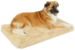 Frisco Eyelash Orthopedic Dog Crate Mat -FRISCO Sales 256026 PT2. SY630 V1616094416