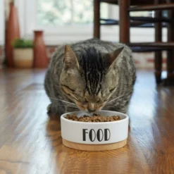 Frisco Ceramic Food Dog & Cat Bowl with Wood Base -FRISCO Sales 256042 PT2. SY630 V1615311693