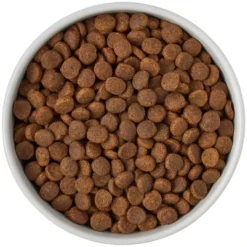 Frisco Ceramic Food Dog & Cat Bowl with Wood Base -FRISCO Sales 256042 PT6. SY630 V1615317399