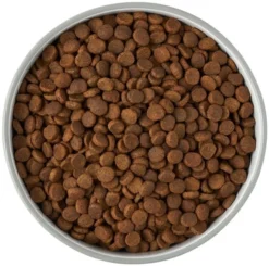 Frisco Bones Non-skid Ceramic Dog & Cat Bowl, Gray -FRISCO Sales 256063 PT5. SY630 V1616508997