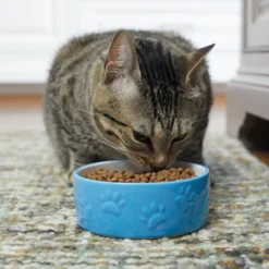 Frisco Paw Prints Non-skid Ceramic Dog & Cat Bowl, Blue 11 Frisco Paw Prints Non-skid Ceramic Dog & Cat Bowl, Blue -FRISCO Sales 256067 PT2. SY630 V1616166987