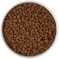 Frisco Paw Prints Non-skid Ceramic Bowl, 7.75 Cups -FRISCO Sales 256072 PT5. SY630 V1615312318