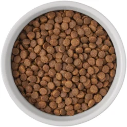 Frisco Bones Non-skid Ceramic Dog & Cat Bowl 13 Frisco Bones Non-skid Ceramic Dog & Cat Bowl -FRISCO Sales 256074 PT5. SY630 V1615312010