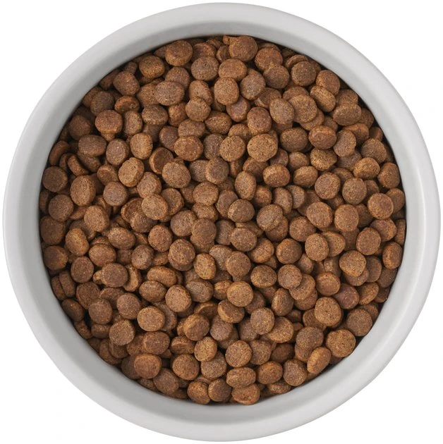 Frisco Bones Non-skid Ceramic Dog & Cat Bowl 8 Frisco Bones Non-skid Ceramic Dog & Cat Bowl - Image 6