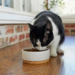 Frisco Round Meow Non-skid Ceramic Cat Bowl with Wood Base, 1.25 cups -FRISCO Sales 256078 PT2. SY630 V1615313612