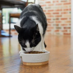 Frisco Oval Meow Non-skid Ceramic Cat Bowl with Wood Base, 1 Cup 10 Frisco Oval Meow Non-skid Ceramic Cat Bowl with Wood Base, 1 Cup -FRISCO Sales 256080 PT2. SY630 V1615310782