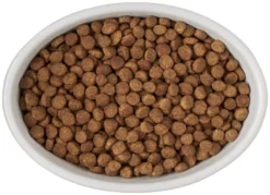 Frisco Oval Meow Non-skid Ceramic Cat Bowl with Wood Base, 1 Cup 13 Frisco Oval Meow Non-skid Ceramic Cat Bowl with Wood Base, 1 Cup -FRISCO Sales 256080 PT5. SY630 V1615312016