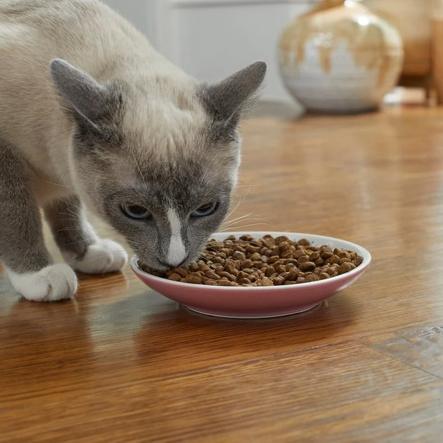 Frisco Kaleidoscope Pattern Non-skid Ceramic Cat Dish, Pink, 0.62 Cup 6 Frisco Kaleidoscope Pattern Non-skid Ceramic Cat Dish, Pink, 0.62 Cup - Image 4