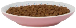 Frisco Kaleidoscope Pattern Non-skid Ceramic Cat Dish, Pink, 0.62 Cup 12 Frisco Kaleidoscope Pattern Non-skid Ceramic Cat Dish, Pink, 0.62 Cup -FRISCO Sales 256084 PT4. SY630 V1618494759