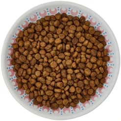 Frisco Kaleidoscope Pattern Non-skid Ceramic Cat Dish, Pink, 0.62 Cup 13 Frisco Kaleidoscope Pattern Non-skid Ceramic Cat Dish, Pink, 0.62 Cup -FRISCO Sales 256084 PT5. SY630 V1617042695