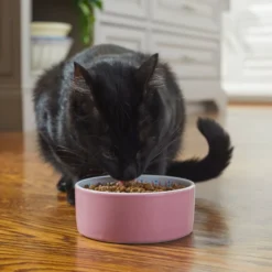 Frisco Kaleidoscope Pattern Non-skid Ceramic Cat Dish, Pink, 1.62 Cup -FRISCO Sales 256086 PT2. SY630 V1615313605