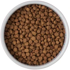 Frisco Kaleidoscope Pattern Non-skid Ceramic Cat Dish, Pink, 1.62 Cup -FRISCO Sales 256086 PT5. SY630 V1615310802