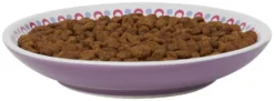 Frisco Kaleidoscope Pattern Non-skid Ceramic Cat Dish, Purple, 0.62 Cup -FRISCO Sales 256088 PT3. SY630 V1617042712