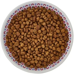 Frisco Kaleidoscope Pattern Non-skid Ceramic Cat Dish, Purple, 0.62 Cup -FRISCO Sales 256088 PT5. SY630 V1617042699