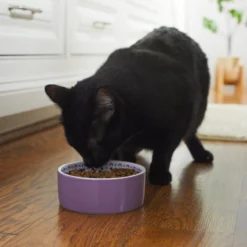 Frisco Kaleidoscope Pattern Non-skid Ceramic Cat Dish, Purple, 1.62 Cup -FRISCO Sales 256090 PT2. SY630 V1615311092