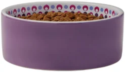 Frisco Kaleidoscope Pattern Non-skid Ceramic Cat Dish, Purple, 1.62 Cup -FRISCO Sales 256090 PT3. SY630 V1615311698