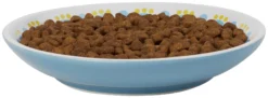 Frisco Kaleidoscope Pattern Non-skid Ceramic Cat Dish, Blue, 0.62 Cup -FRISCO Sales 256092 PT3. SY630 V1617042717
