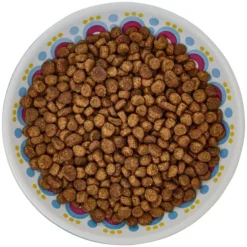 Frisco Kaleidoscope Pattern Non-skid Ceramic Cat Dish, Blue, 0.62 Cup -FRISCO Sales 256092 PT5. SY630 V1617042691