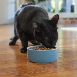 Frisco Kaleidoscope Pattern Non-skid Ceramic Cat Dish, Blue, 1.62 Cups -FRISCO Sales 256094 PT2. SY630 V1615311130