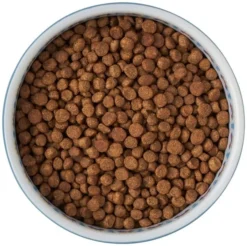 Frisco Kaleidoscope Pattern Non-skid Ceramic Cat Dish, Blue, 1.62 Cups -FRISCO Sales 256094 PT5. SY630 V1615312042