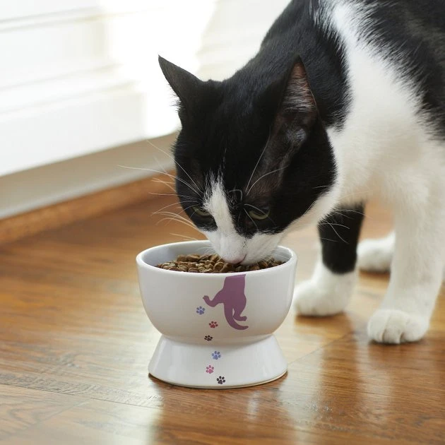 Frisco Cat Print Non-skid Elevated Ceramic Cat Bowl, Short, 1.0 Cup 5 Frisco Cat Print Non-skid Elevated Ceramic Cat Bowl, Short, 1.0 Cup - Image 3
