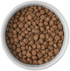 Frisco Cat Print Non-skid Elevated Ceramic Cat Bowl, Short, 1.0 Cup 12 Frisco Cat Print Non-skid Elevated Ceramic Cat Bowl, Short, 1.0 Cup -FRISCO Sales 256096 PT4. SY630 V1616522576