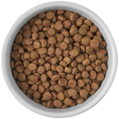 Frisco Cat Print Non-skid Elevated Ceramic Cat Bowl, Tall -FRISCO Sales 256098 PT4. SY630 V1616522549