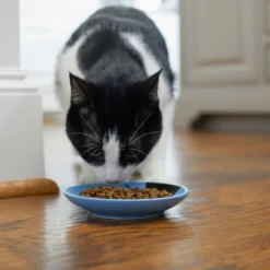 Frisco Cat Face Non-skid Ceramic Cat Dish, Blue, 0.50 Cup -FRISCO Sales 256101 PT3. SY630 V1617130591