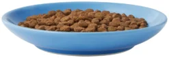Frisco Cat Face Non-skid Ceramic Cat Dish, Blue, 0.50 Cup -FRISCO Sales 256101 PT4. SY630 V1617130592