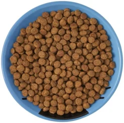 Frisco Cat Face Non-skid Ceramic Cat Dish, Blue, 0.50 Cup -FRISCO Sales 256101 PT5. SY630 V1615321282