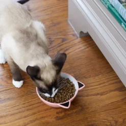 Frisco Cat Face Non-skid Ceramic Cat Bowl, Pink, 1.12 Cups -FRISCO Sales 256107 PT2. SY630 V1616522589