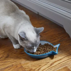 Frisco Fish Shaped Non-skid Ceramic Cat Dish, 0.62 Cups -FRISCO Sales 256109 PT3. SY630 V1617196297