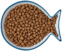 Frisco Fish Shaped Non-skid Ceramic Cat Dish, 0.62 Cups -FRISCO Sales 256109 PT6. SY630 V1617196895