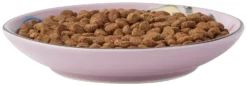 Frisco Paris Non-skid Ceramic Cat Dish, 0.62 Cup -FRISCO Sales 256115 PT5. SY630 V1618494743