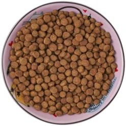 Frisco Paris Non-skid Ceramic Cat Dish, 0.62 Cup -FRISCO Sales 256115 PT6. SY630 V1617196908