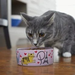 Frisco Paris Non-skid Ceramic Cat Dish, 1.62 Cup -FRISCO Sales 256117 PT2. SY630 V1615311397